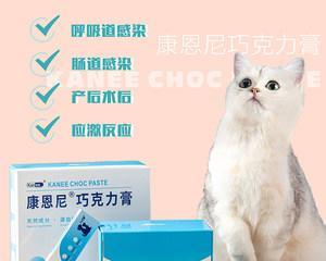 猫咪可以吃什么消炎药？安全使用消炎药的建议是什么？