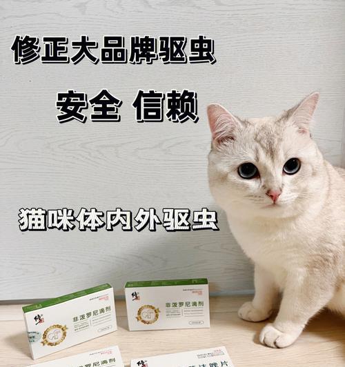 猫咪驱虫药和疫苗接种的最佳时间间隔是多久？