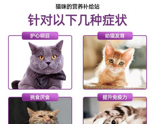 猫咪缺乏牛磺酸有哪些症状？如何及时发现和处理？