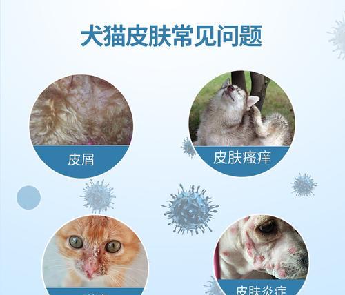 猫咪身上的螨虫对孕妇有什么影响？如何预防和处理？