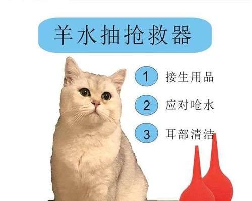 猫咪生产后持续出血怎么办？需要立即就医吗？