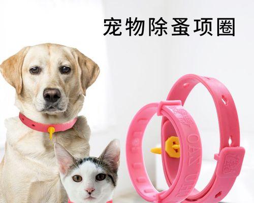 猫咪外驱虫要注意什么？正确步骤和注意事项有哪些？