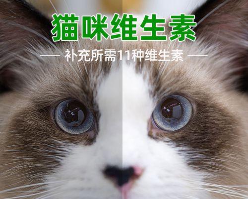 猫咪补充复合维生素的正确方法是什么？常见问题有哪些？