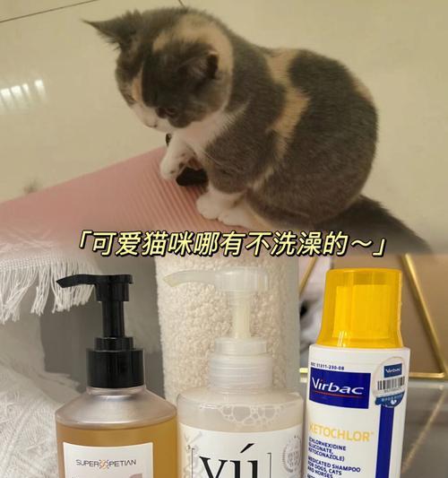 猫咪沐浴露用什么代替？自制猫咪洗护液的正确方法是什么？