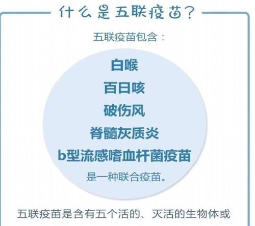 犬五联疫苗的最佳接种时间是什么时候？