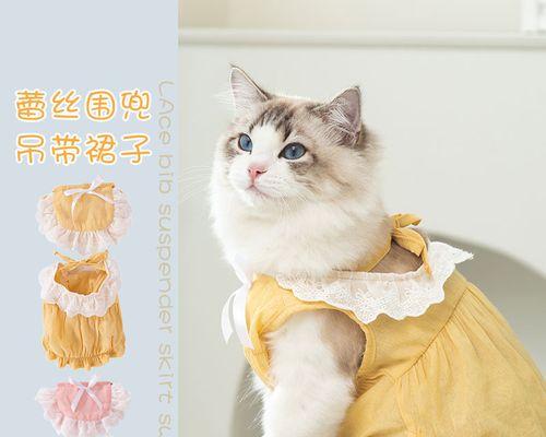 夏天猫咪晚上叫怎么办？如何安抚夜间活跃的宠物？