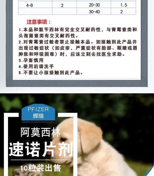 小狗服用多少阿莫西林是安全的？常见剂量和使用指南是什么？