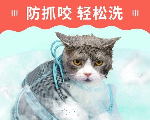 小猫不能洗澡脏了怎么办？如何安全给小猫洗澡？