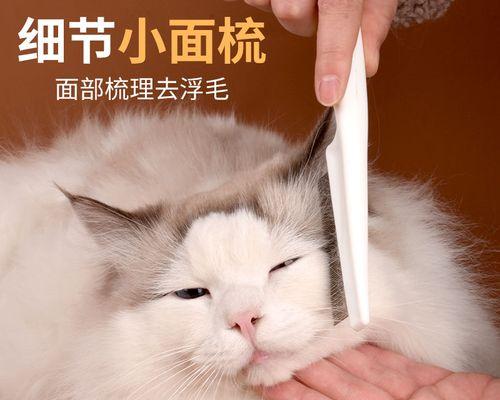 小猫身上有跳蚤怎么办？有效去除跳蚤的方法有哪些？