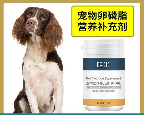 鱼油对狗狗有副作用吗？如何安全给宠物补充Omega-3？