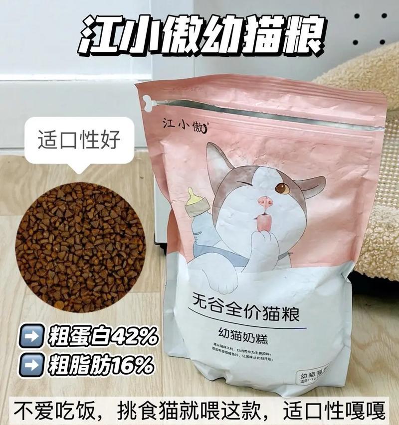 布偶猫是否适合食用加菲猫猫粮？