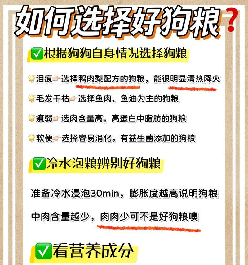 小型犬狗粮消耗：五斤能吃多久？会否导致健康问题？