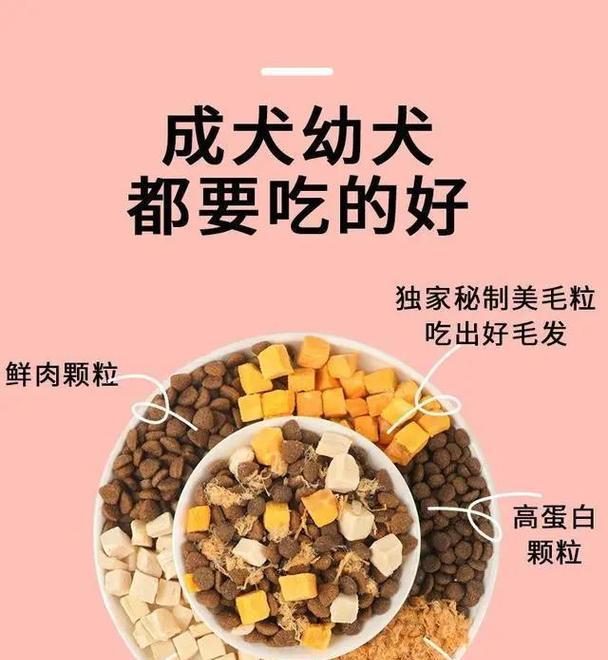 小型犬每顿吃40克狗粮够吗？