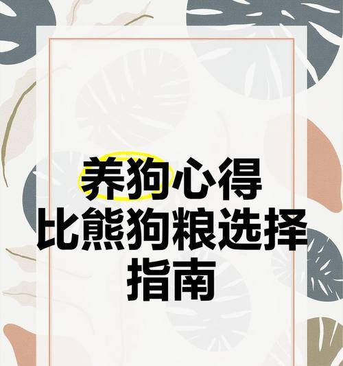 4个月比熊狗狗吃多少狗粮合适呢？如何制定喂食计划？