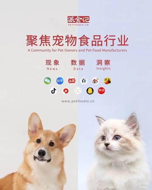 比熊犬异食癖的原因是什么？如何预防和纠正？