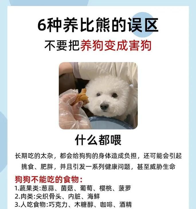 比熊幼犬能吃鹌鹑蛋清吗喂多少狗粮呢？鹌鹑蛋清对小狗有益吗？