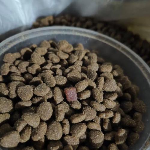 比熊犬的干粮是否需要加水？加水有什么好处？