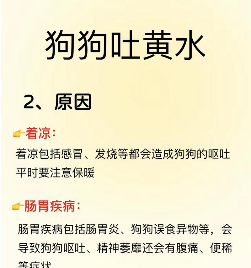 四个月比熊呕吐黄色物质是什么原因？如何处理？