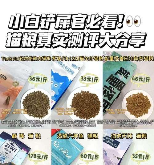 加菲猫适合哪些猫粮品牌？如何选择既好吃又实惠的猫粮？