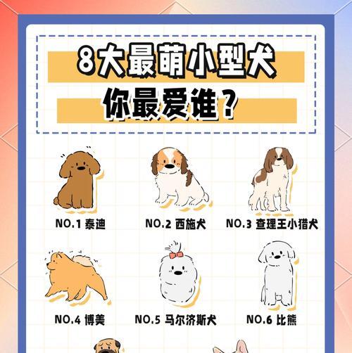 小型犬的性格特征是什么？它们适合什么样的家庭？