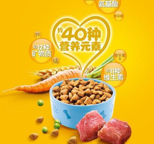 柯基幼犬粮狗笼喂食方法是什么？