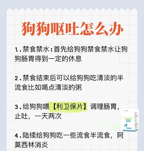 狗换粮后老是吐怎么办？换粮时应注意哪些事项？