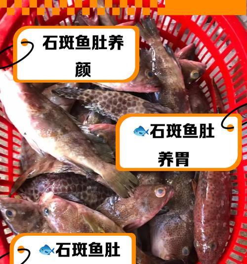 石斑鱼苗翻肚浮水面是疾病吗？如何预防和治疗？