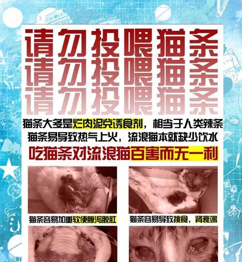 如何防止流浪猫粮被盗？