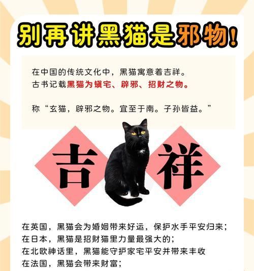 爱吃猫粮的黑猫有什么特别的名字吗？它们的食性如何？